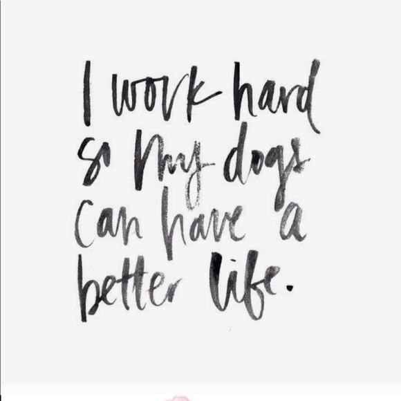 BOOKMARK HERE•MEET ME 💕 - Picture 4 of 7